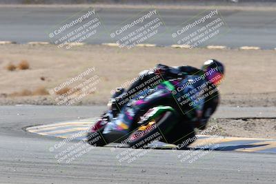 media/Feb-13-2022-SoCal Trackdays (Sun) [[c9210d39ca]]/Turn 14 (1130am)/